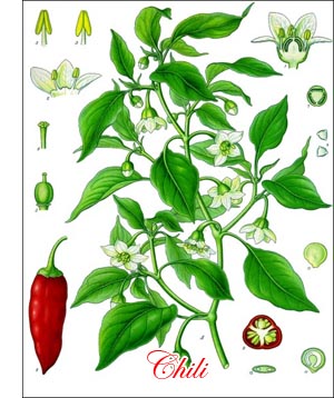 Chili spice